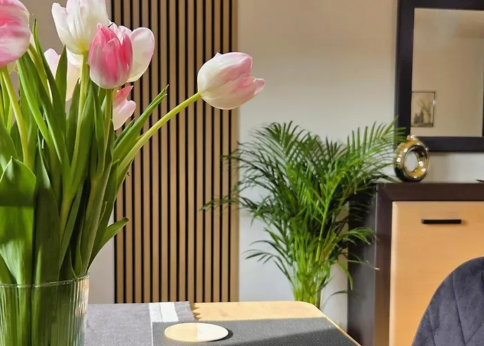 Apartament GOLD blisko Wawelu z DARMOWYM PARKINGIEM